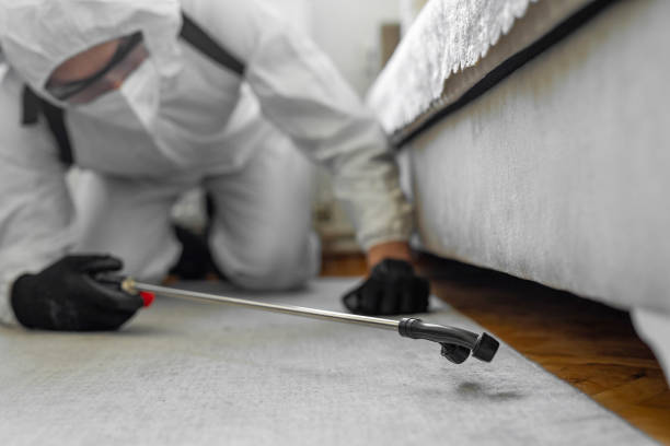 Professional Pest Control technician working in Union County County, IA